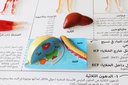 Body Composition Display (Arabic)