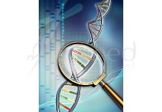 NUGENE Weight, Nutrition & Sport - Pack of 20