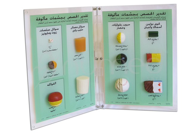 Daily Life Portion Visuals (Arabic)