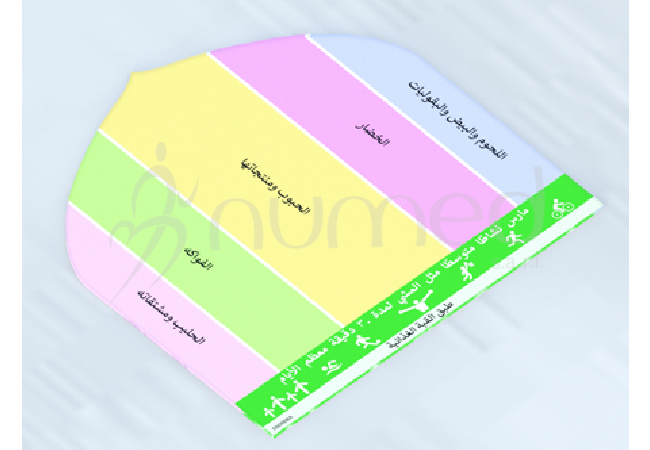 Food Dome Dietary Guidelines Plate (Arabic)