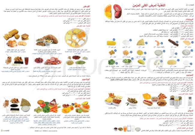 Nutrition for Chronic Kidney Disease Handout (Arabic)
