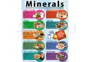 [ENP11ES] Minerals Poster (English)