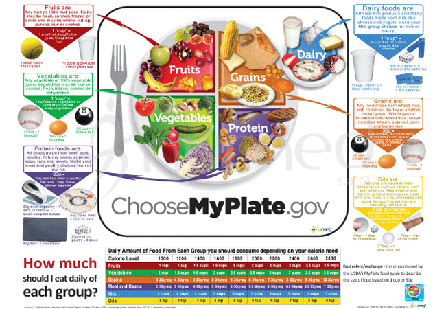 MyPlate Poster (English)