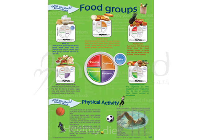 What You Should Know about Food Groups Poster (English)