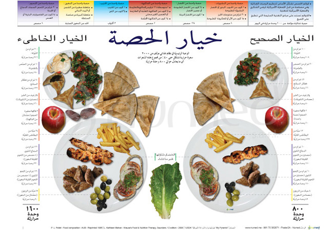 Portion Option Poster (Arabic)