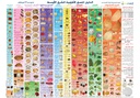 [ENP4AXXL] Middle East Visual Food Guide Banner (Arabic)250x300cm