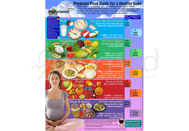 Pregnant Food Guide Poster (English)