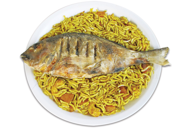 Biryani, in melamine plate