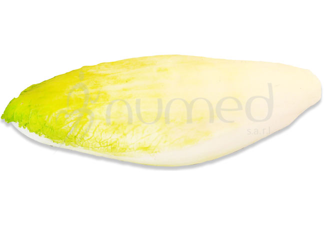 Endive, raw