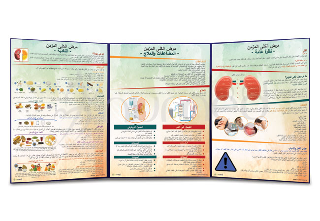 Renal Folding (Arabic)