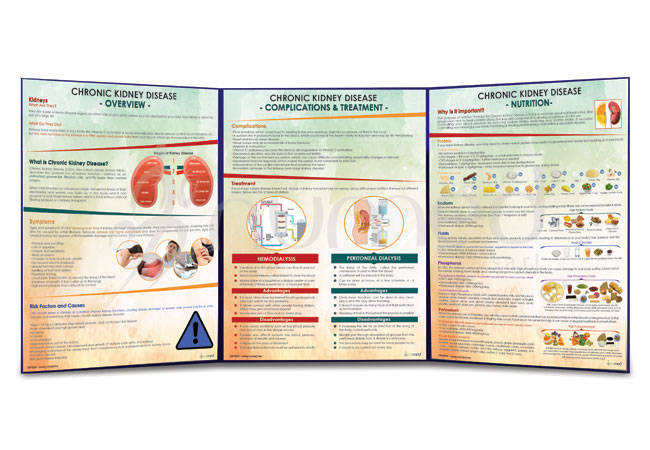 Renal Folding (English)