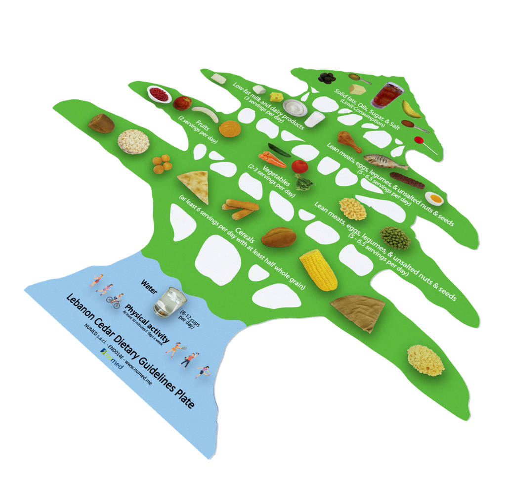 Cedar dietary guidelines plate - English