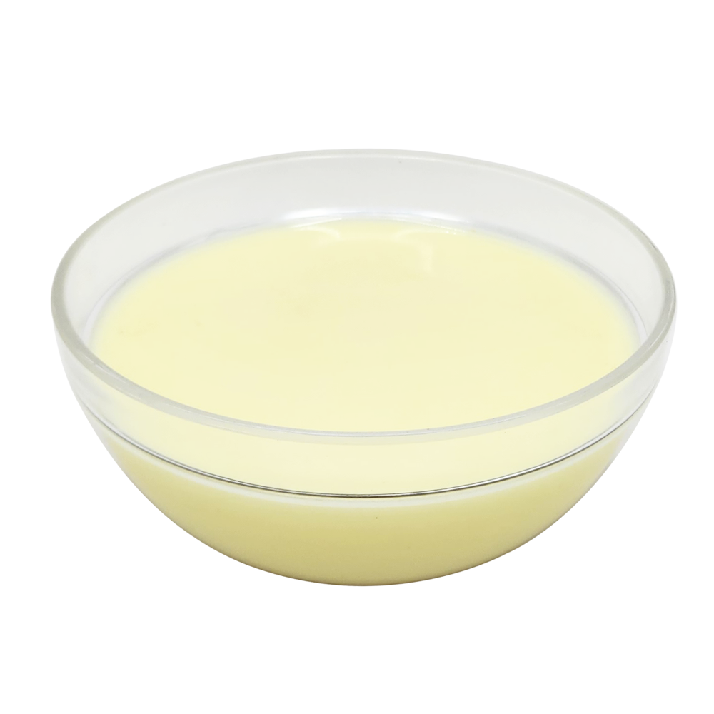 Mouhallabiyeh (rice pudding), in polycarbonate bowl