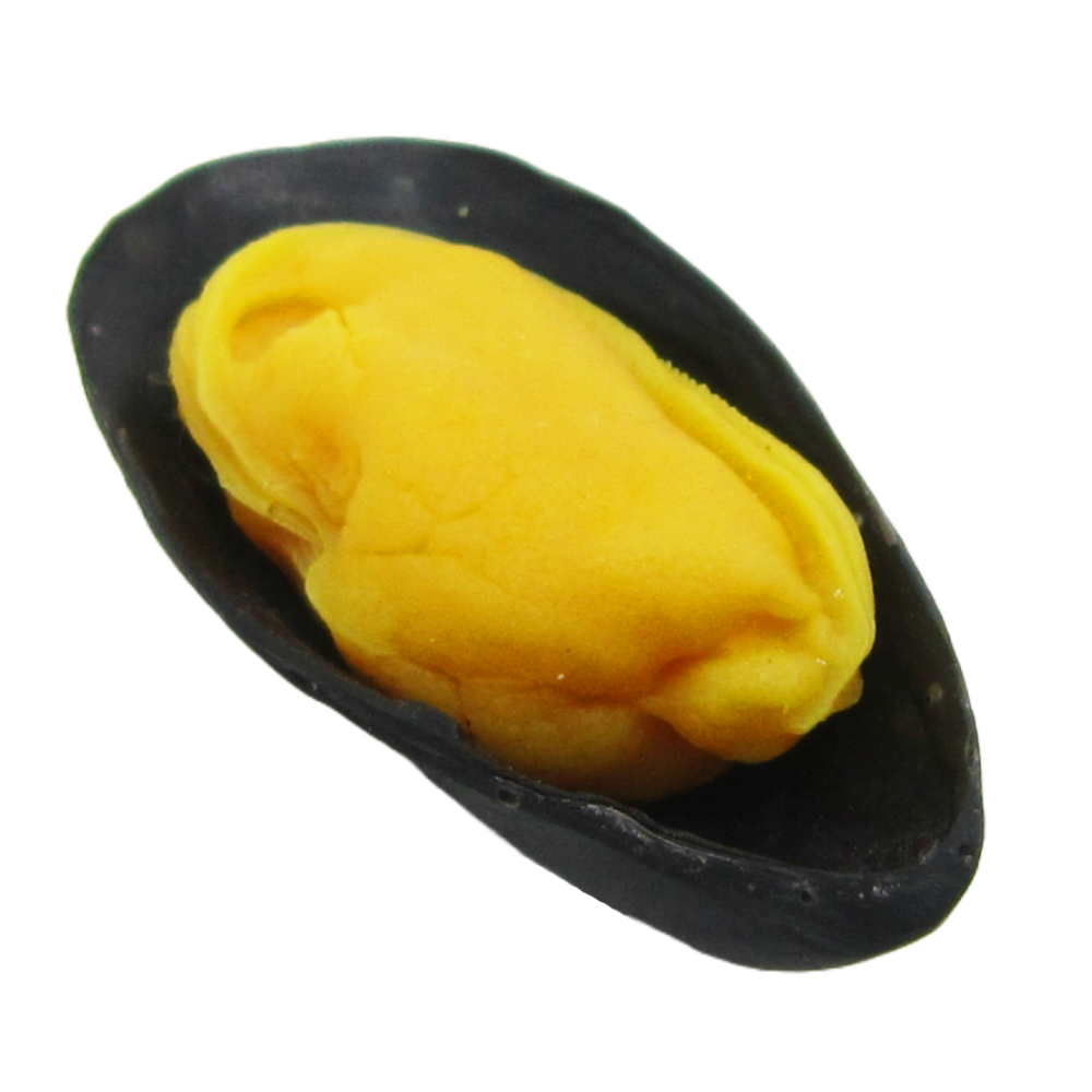 Blue Mussel