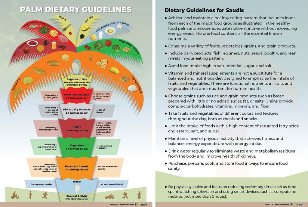 Palm Dietary Guidelines Handout