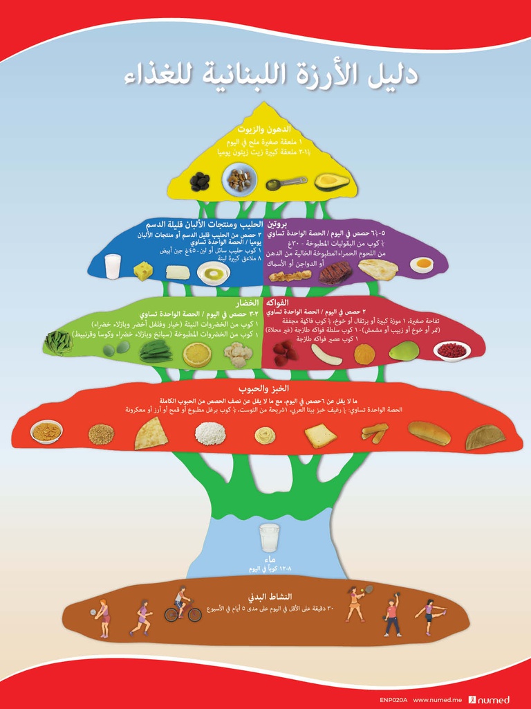 Cedar Dietary Guidelines Poster