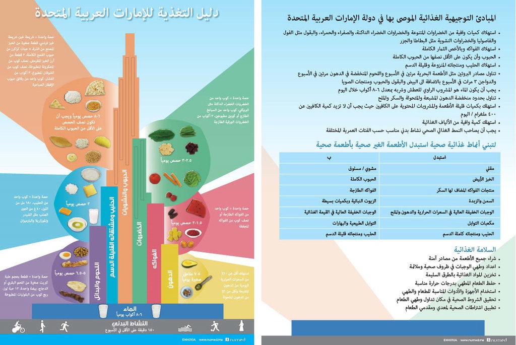 UAE Food Dietary Guidelines Handout