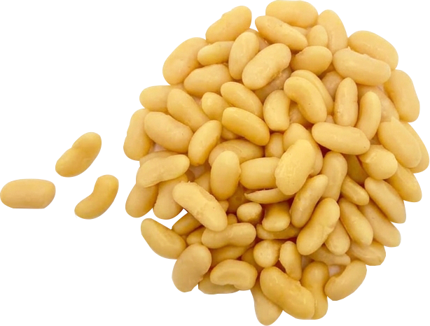Beans, white, cooked 