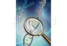 [GSNWN1P4] NUGENE Weight, Nutrition & Sport - Pack of 4