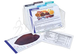 [ENFMCARPA1E] Food Models Cards - Pack 1 - English