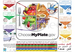 [ENP15AM] MyPlate Poster (Arabic)