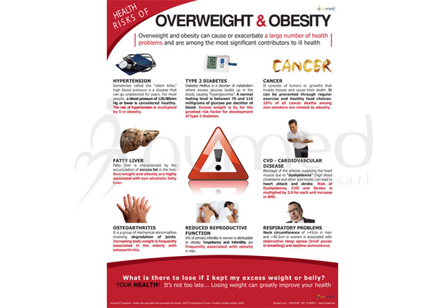 Consequences of Obesity Poster (English) | NUMED