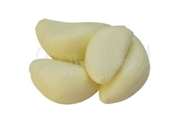[ENFMVEG10] Garlic