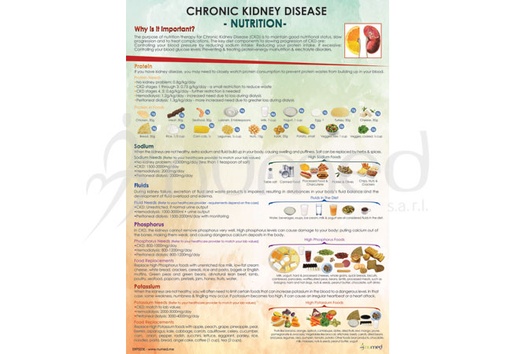 [ERP003ES] Chronic Kidney Disease, Nutrition Poster (English)