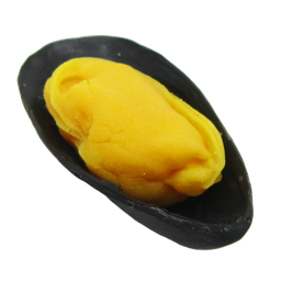 [ENFMSEAFO8] Blue Mussel