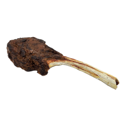 [ENFMMEAT14] Lamb chop, braised