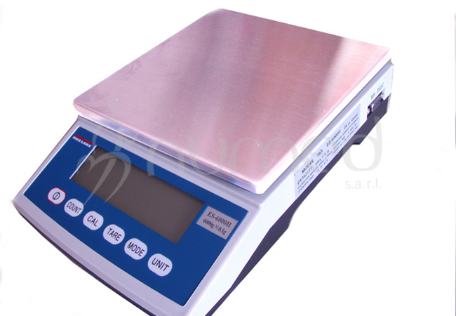 Professional High Precision Balance