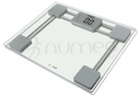 [APAFE002] AMBER Body Scale