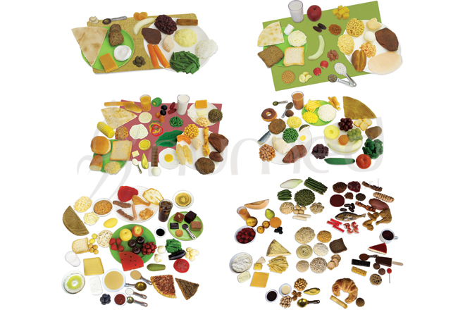 Food Models Combo Kit