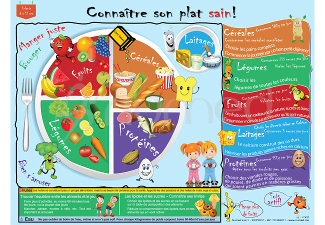 Get to Know Your Healthy Plate Poster (French)