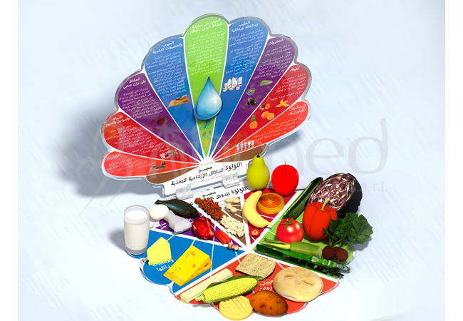 3-D Pearl Dietary Guidelines Plate (Arabic)