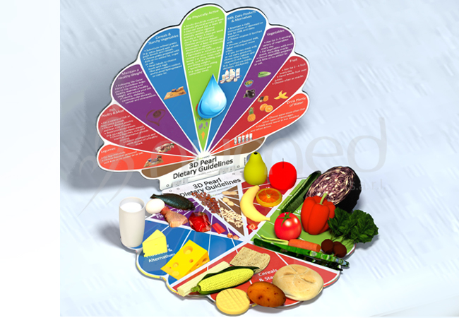 3-D Pearl Dietary Guidelines Plate (English)