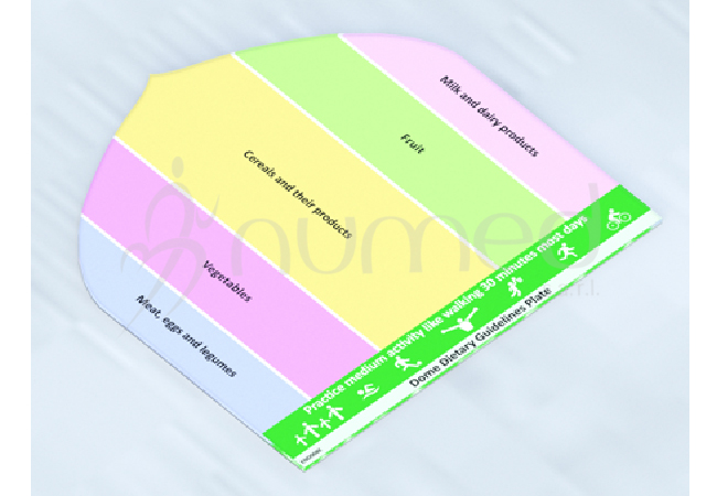 Food Dome Dietary Guidelines Plate (English)