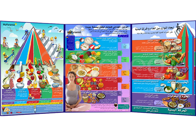 MyPyramid Life Cycle Folding (Arabic)