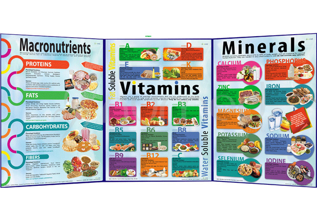 Nutrients ID Guide Folding (English)