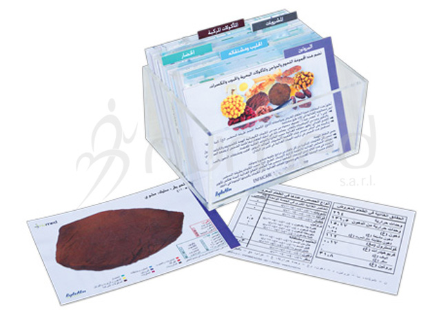 Food Models Cards - Pack 1 - Arabic