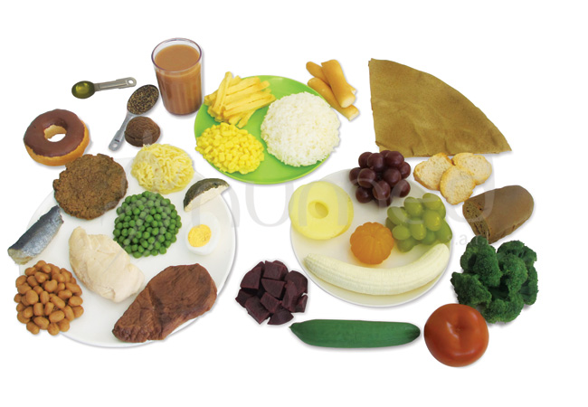 Food Models Kit 3