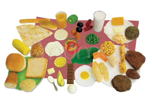 Food Models Kit 4