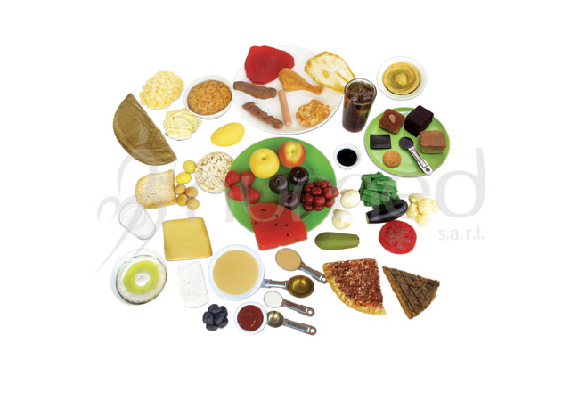 Food Models Kit 5