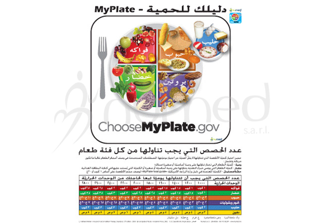 MyPlate, Your Diet Aid Handout (Arabic)