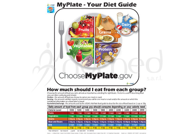 MyPlate, Your Diet Aid Handout (English)