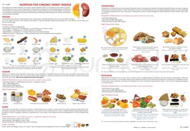 Nutrition for Chronic Kidney Disease Handout (English)