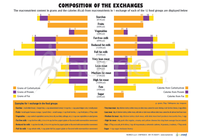 Composition of the Exchanges Poster (English)