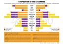 [ENP002ES] Composition of the Exchanges Poster (English)