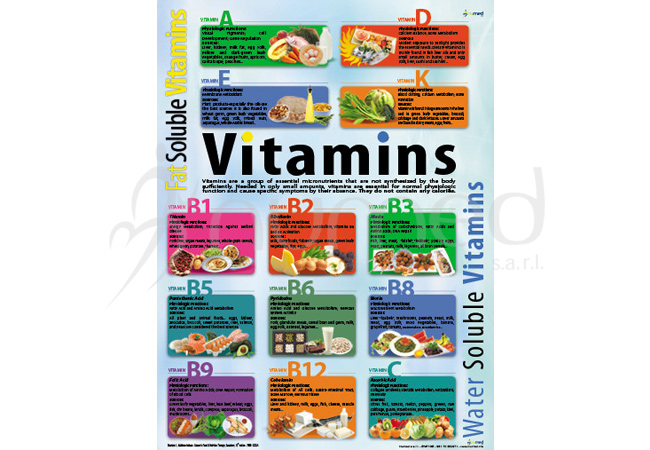 Vitamins Poster (English)