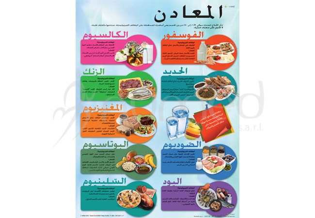 Minerals Poster (Arabic)